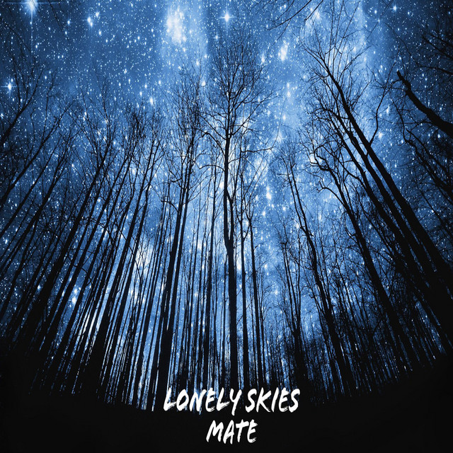 Обкладинка: Lonely Skies — Mate