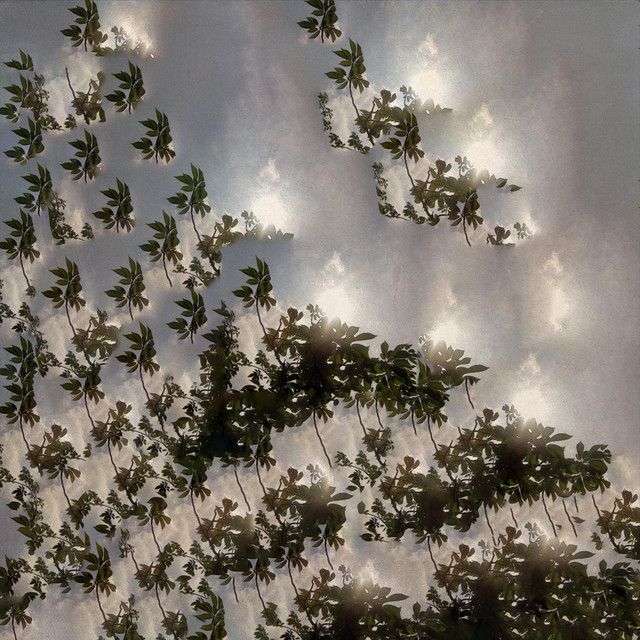 Gloria on Canvas cover art