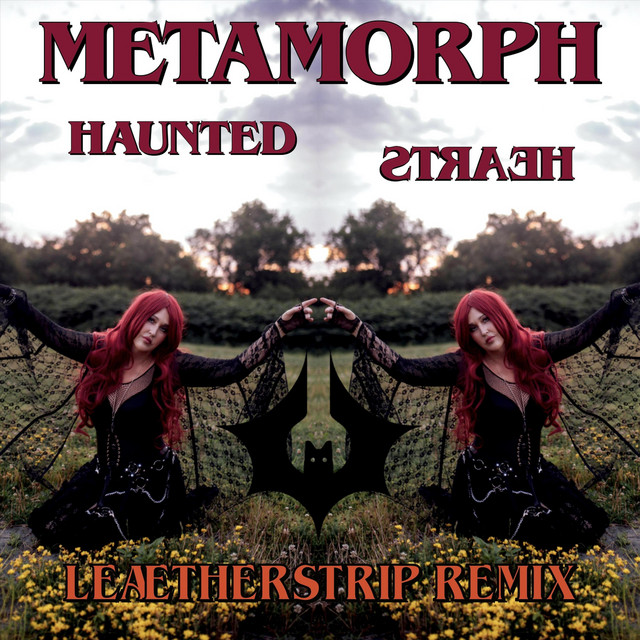 Haunted Hearts (Leæther Strip Remix)