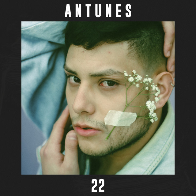 22 cover art