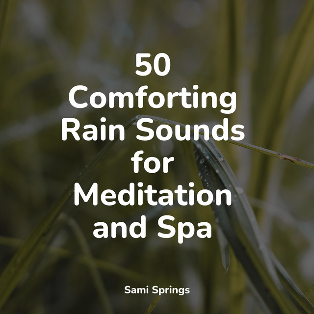 50 Comforting Rain Sounds for Meditation and Spa - Album by Zen Music ...