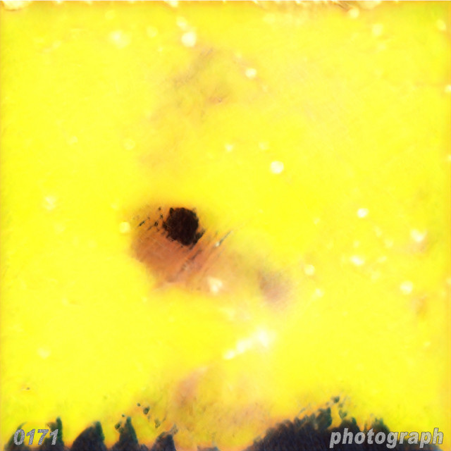 Photograph cover