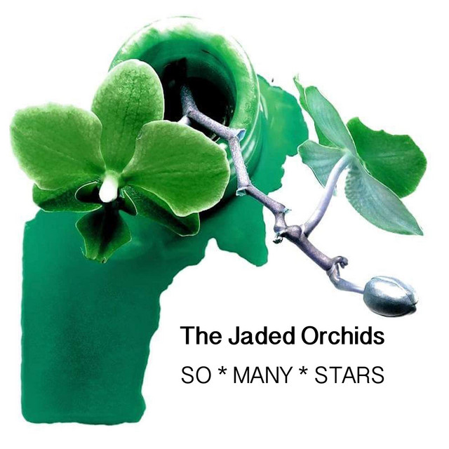 Jade Or Photo