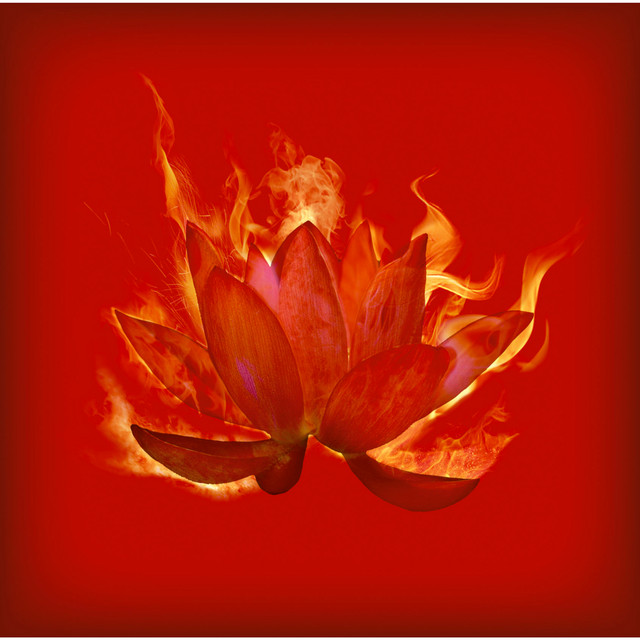 Capa de 紅蓮 - DOES