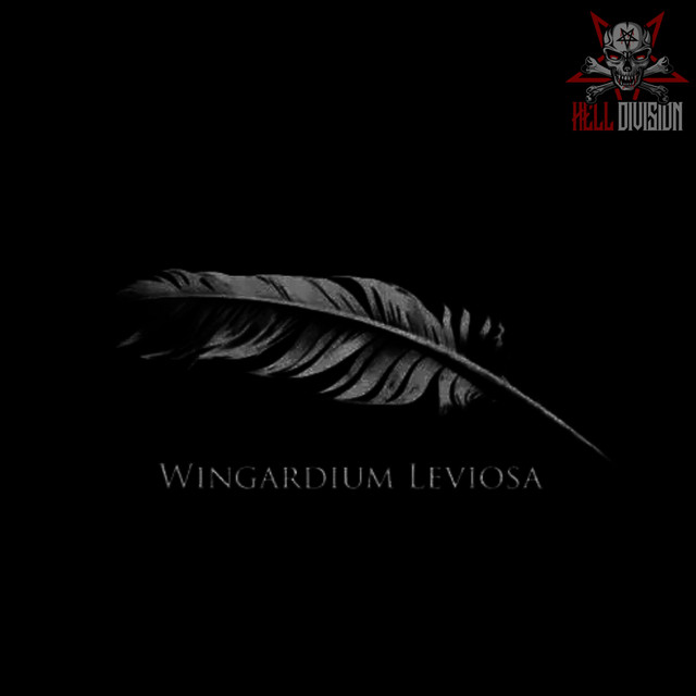 Wingardium Leviosa cover