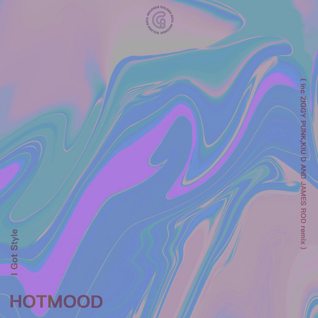I Got Style cover art