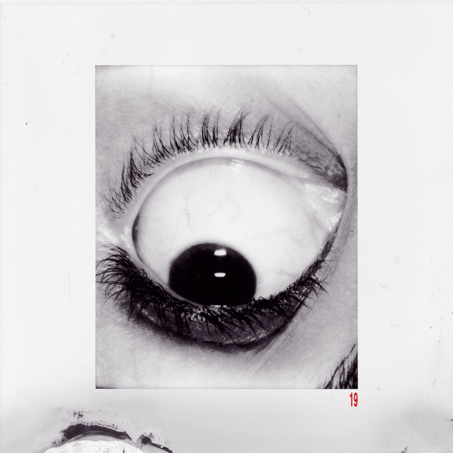 19 cover art