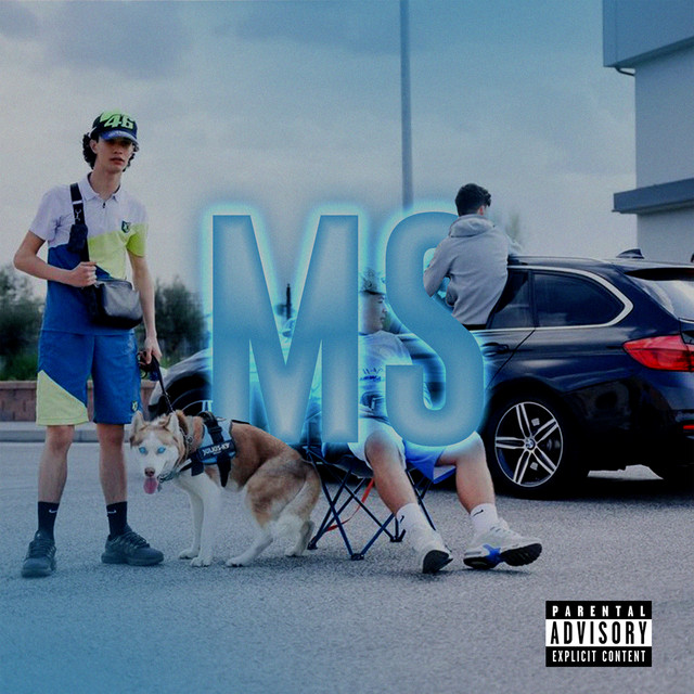 MS cover art