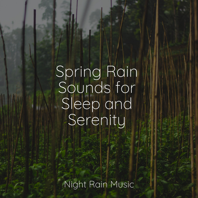 Spring Rain Sounds for Sleep and Serenity - Album by Preschool Kids ...