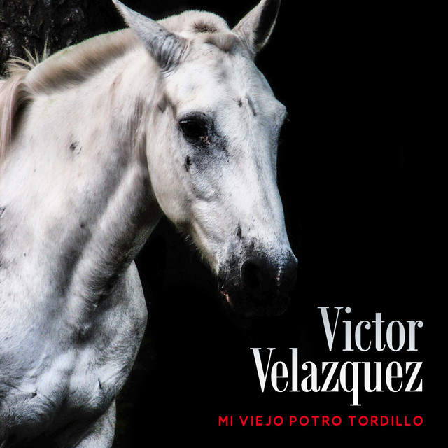 Mi Viejo Potro Tordillo cover