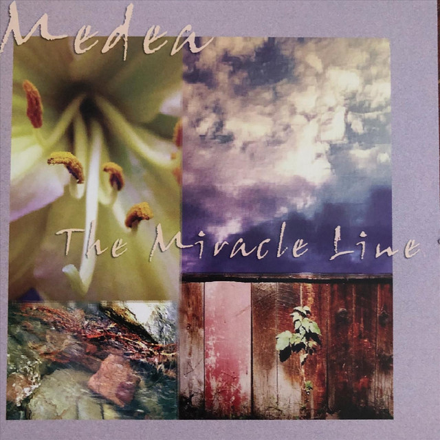 The Miracle Line cover art