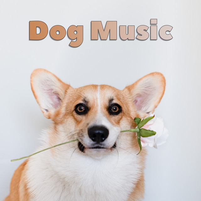 Dog Music cover art