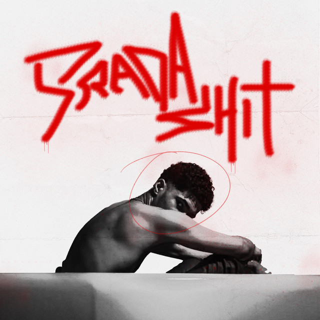 Pr4dashit cover art