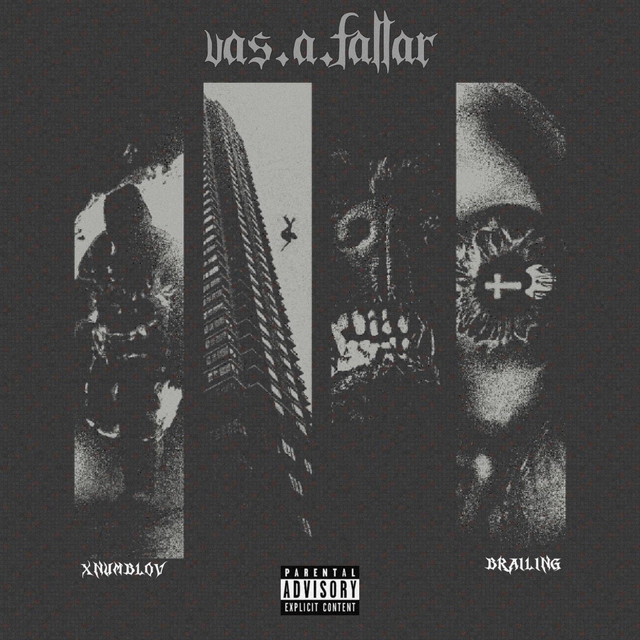 VAS A FALLAR cover art