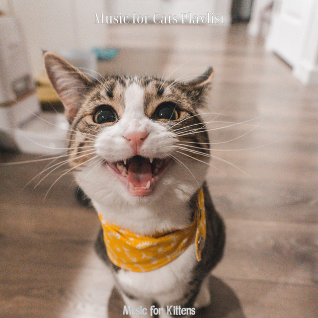 Music for Kittens cover art
