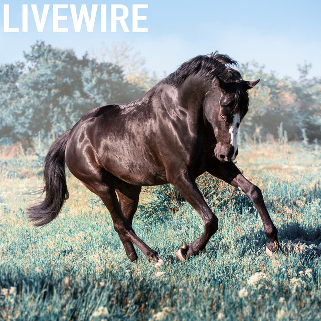 Livewire cover art