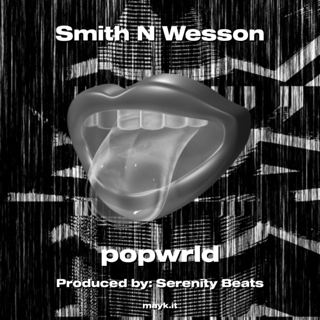 Smith N Wesson cover art