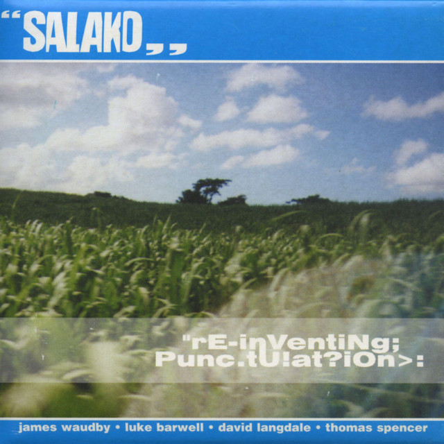 Reinventing Punctuation cover art