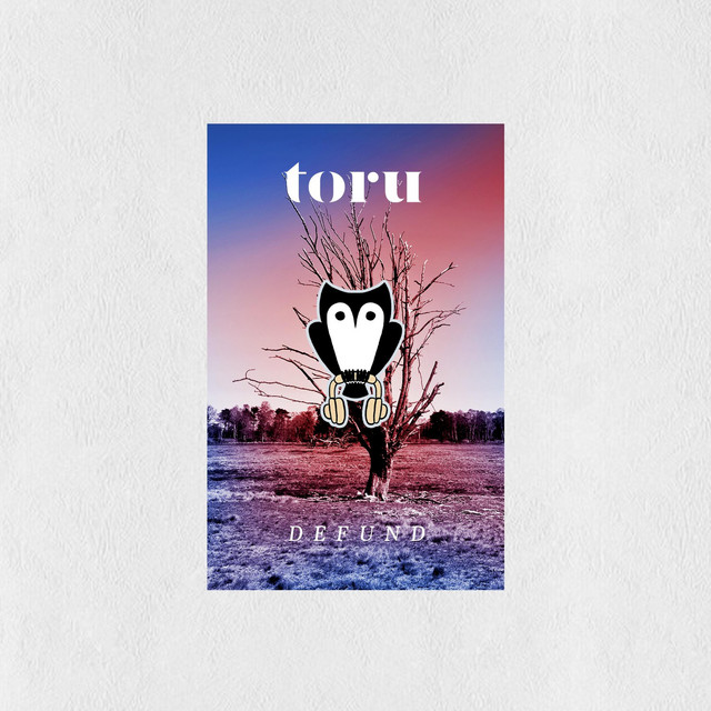Defund cover art