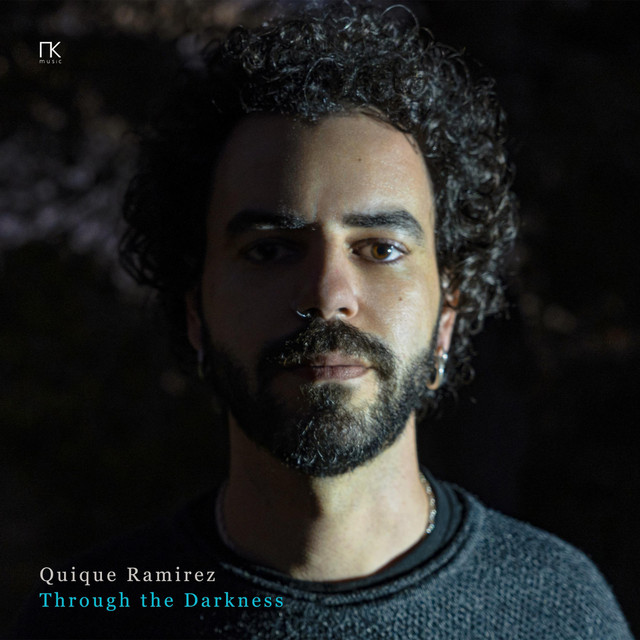 Through the Darkness cover art