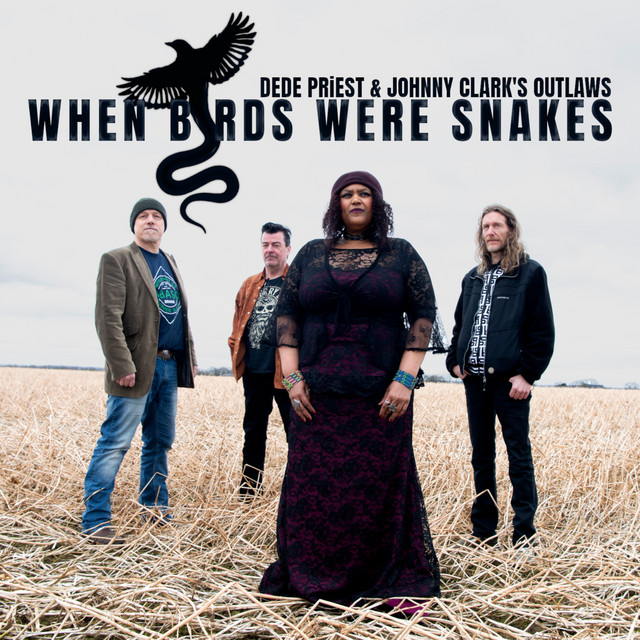 When Birds Were Snakes cover