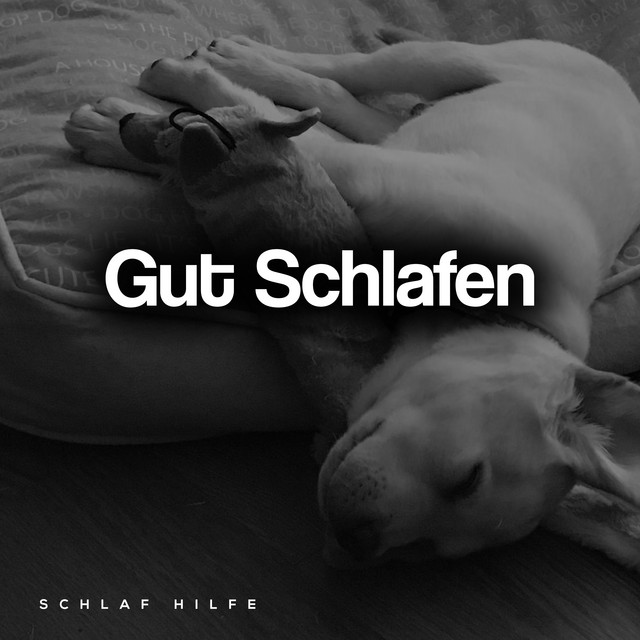 Gut Schlafen cover art
