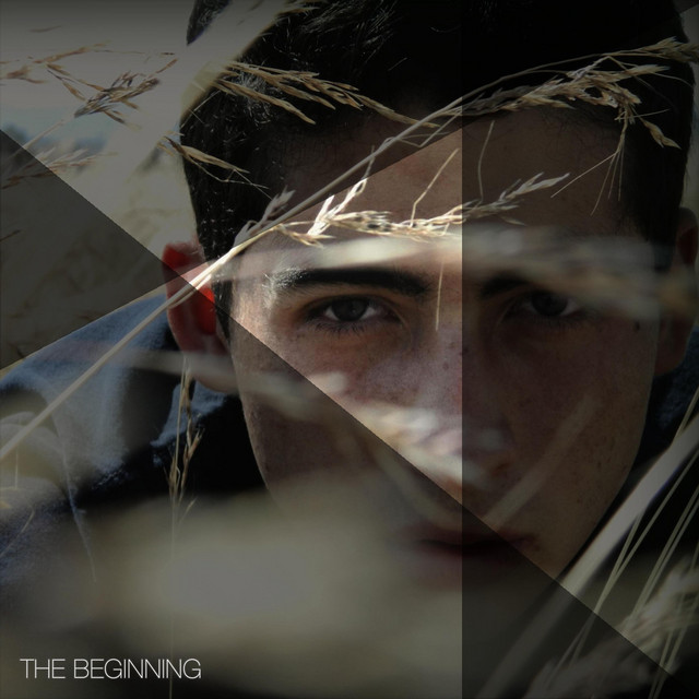The Beginning cover art