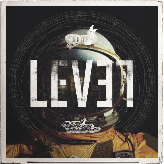 Level cover art