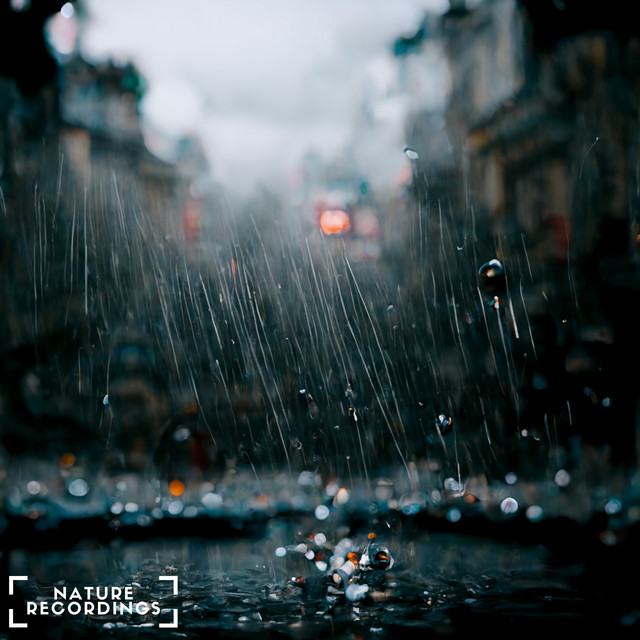 Rain on a Quiet Road album image