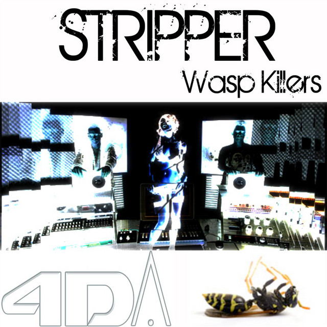 Wasp Killers cover
