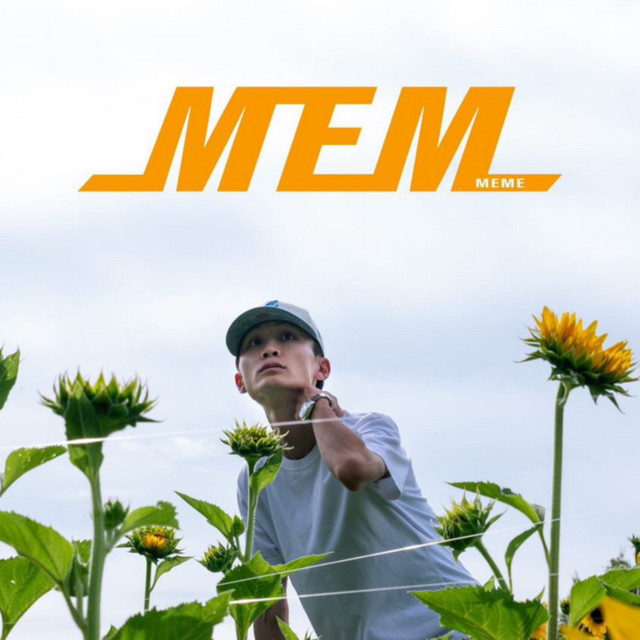 MEM cover art