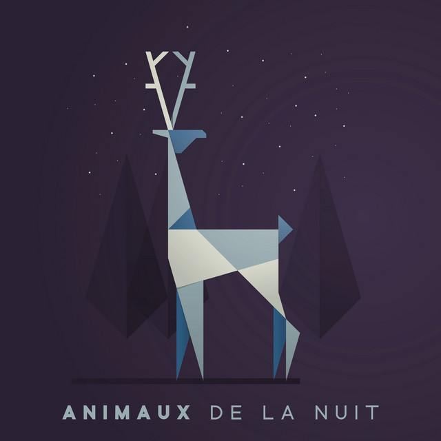 Animaux de la nuit: Forêt la nuit, Sons de la nature relaxants pour un sommeil profond cover art
