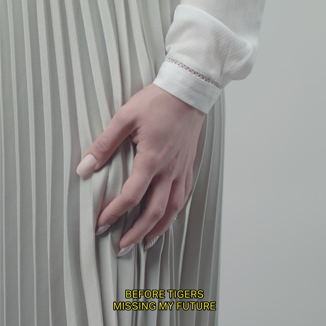 Missing My Future cover art