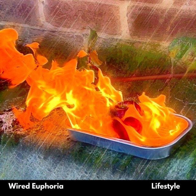 Lifestyle cover art