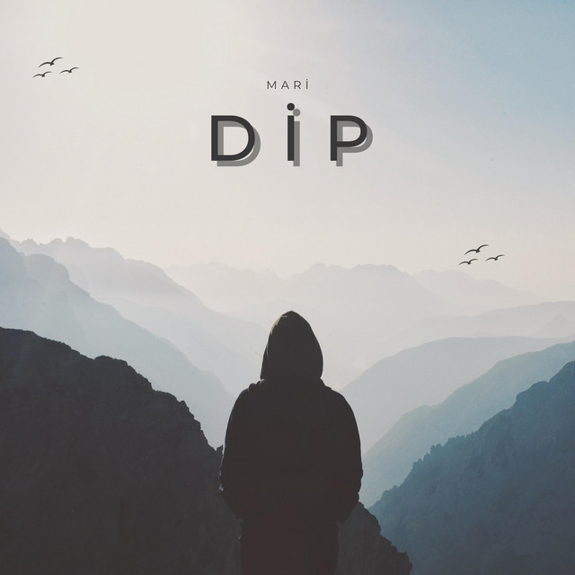 Dip cover art