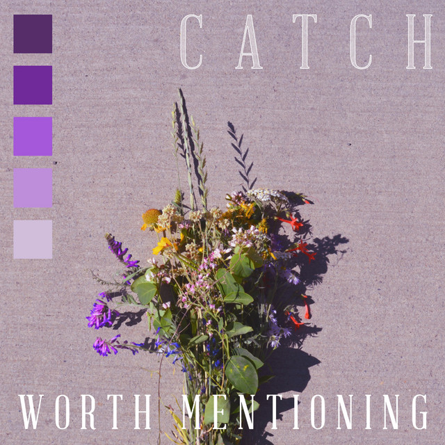 Worth Mentioning cover art