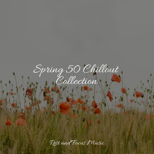 Spring 50 Chillout Collection - Album by Musica Reiki | Spotify
