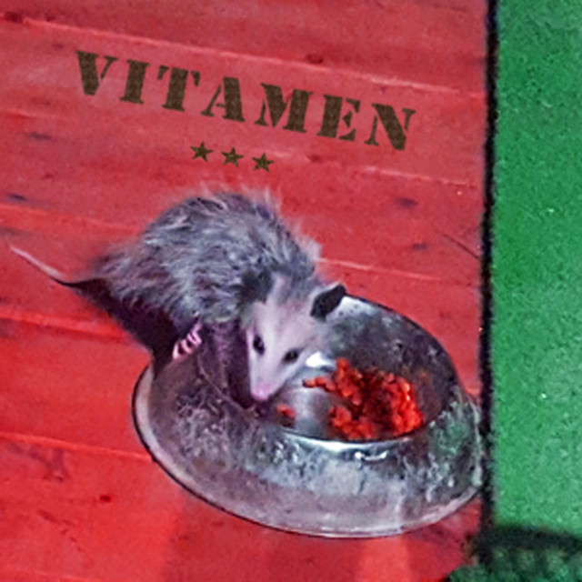 Volume III cover art