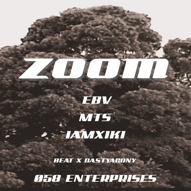 Zoom cover art