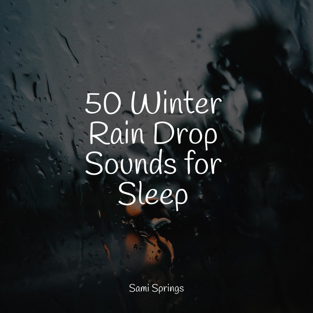 50 Winter Rain Drop Sounds for Sleep - Album by Naturaleza Sonidos ...