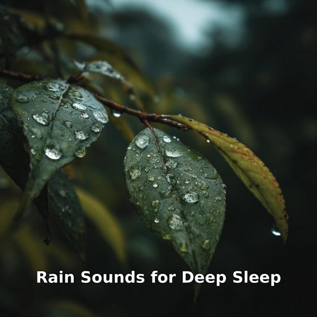 Rain Sounds for Deep Sleep