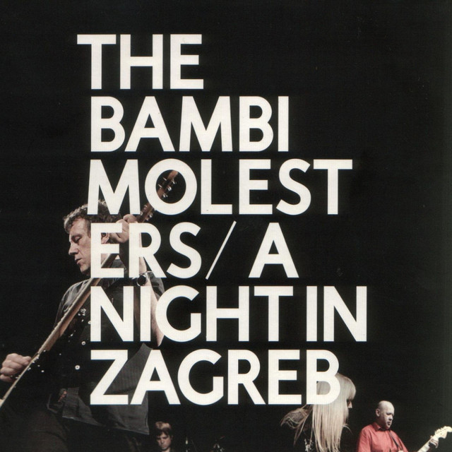 A Night in Zagreb cover art