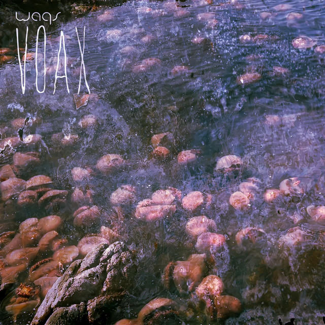 Voax cover art