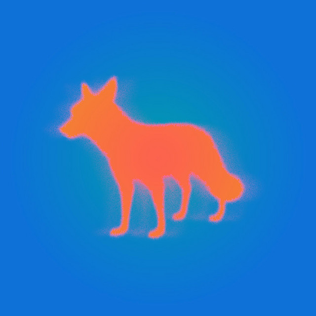 down the fox hole cover art