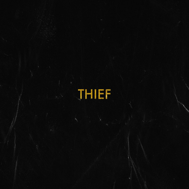 Thief cover