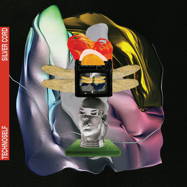 SILVER CORD cover art