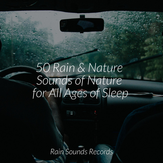 50 Rain & Nature Sounds of Nature for All Ages of Sleep - Album by ...
