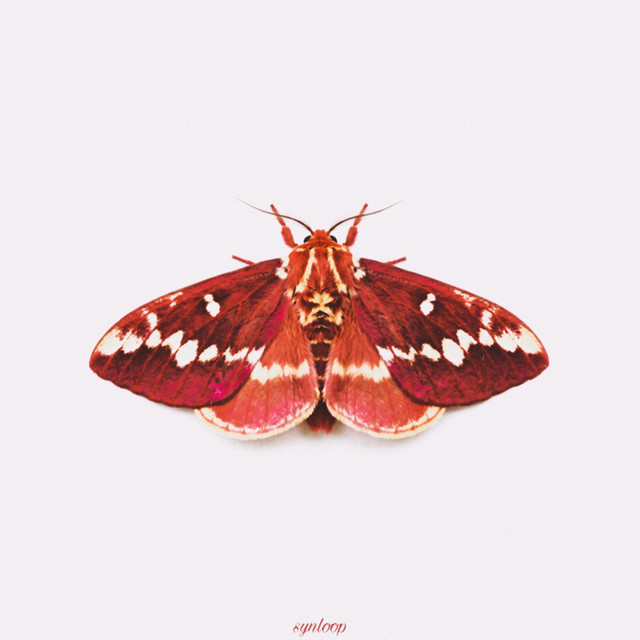 Red Moth (Kushn Soul Music Remix) - Single by synloop | Spotify