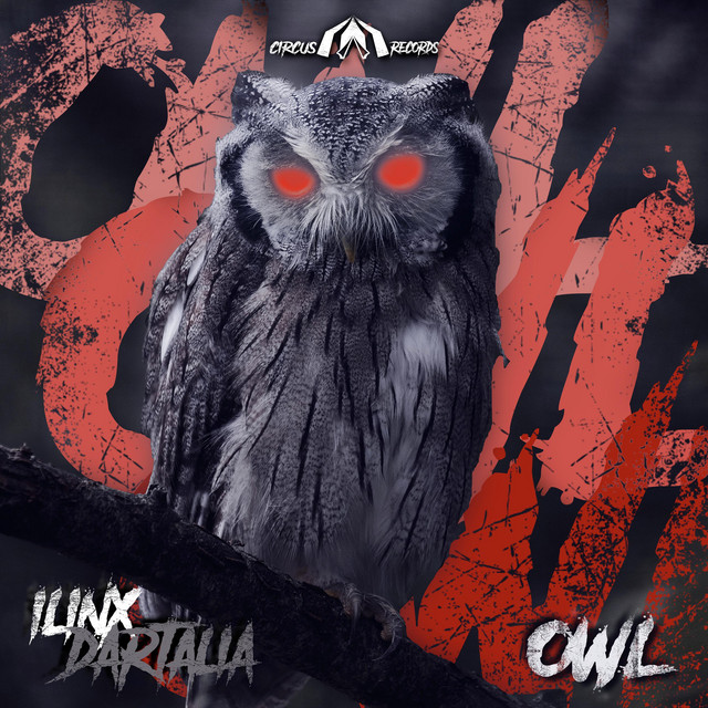Owl cover art