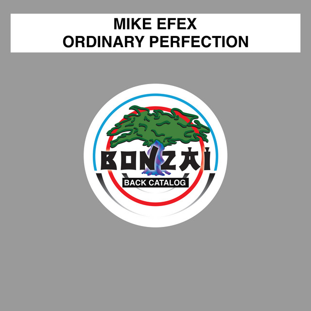 Ordinary Perfection - Corydalics Remix cover art